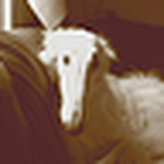 Profile Picture of Jeremy Lynes (@linelites) on Flickr