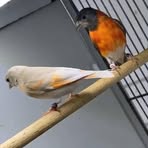 Profile Picture of Khaıid Ben Ayad (@Khaıid-Ben-Ayad) on Facebook