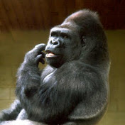 Profile Picture of Timothy McPherson (@TimothyMcPherson13) on Youtube