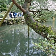 Profile Picture of RAY (@ray_hobby6) on Twitter