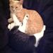 Profile Picture of Rayna Jeter (@raynajeter) on Pinterest