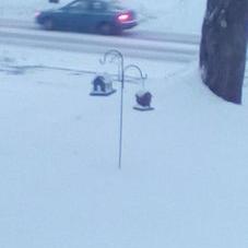 Profile Picture of Beverly D Collier (@Beverly63194971) on Twitter