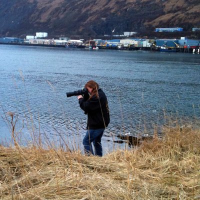 Profile Picture of Robin Frost (@DixieDreamsAK) on Twitter