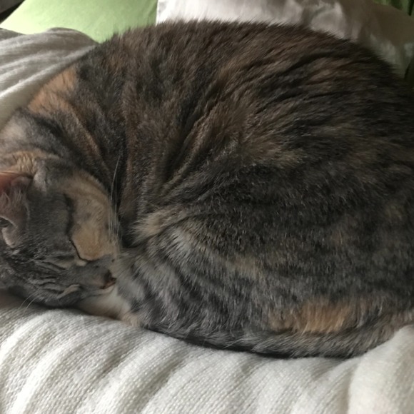 Profile Picture of Nickola Kuntzman (@flipside69) on Poshmark