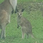 Profile Picture of Wayne Upton (@sladibartfast) on Instagram