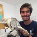 Profile Picture of Andrew Ibarra (@aibarra2400) on Instagram