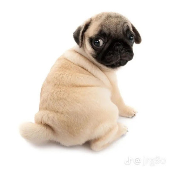 Profile Picture of Bryan Gomez (@bgz31590) on Poshmark