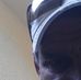 Profile Picture of David Hejduk (@david.hejduk.12) on Facebook