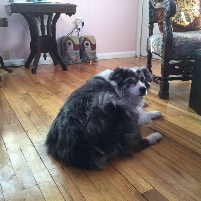 Profile Picture of Mary K Packer (@MaryKPacker1) on Twitter