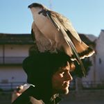 Profile Picture of Tomás Gianelli O’Ryan (@jesus_karate) on Instagram