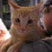 Profile Picture of Thomas Cogley (@thomascogley4395) on Youtube