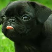 Profile Picture of Alexander Bartolo (@alexanderbartolo3956) on Youtube