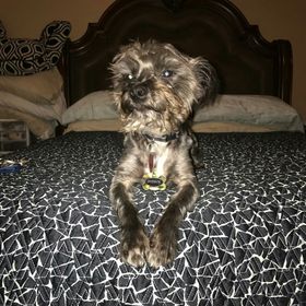 Profile Picture of Josefina Andrade (@jfinaandrade194) on Pinterest