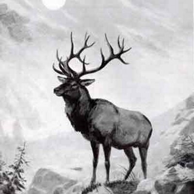 Profile Picture of Tom Weimann (@TomWeimann) on Twitter