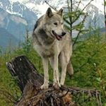 Profile Picture of Jonathan Visconti (@jonathan.visconti.961) on Instagram