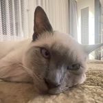 Profile Picture of Erich Plattner (@erich64) on Instagram