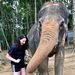 Profile Picture of Robyn Nagourney (@rnagourney) on Pinterest
