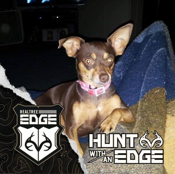 Profile Picture of Carlos Adams (@carlosadams82) on Poshmark