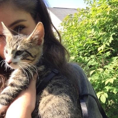 Profile Picture of Avery Grant (@itsjustave) on Twitter