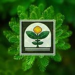Profile Picture of Auxine Jardinerie Alternative (@auxine_jardinerie_alternative) on Instagram