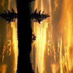 Profile Picture of Markovich (@isbill81run) on Instagram