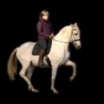 Profile Picture of Nancy Walker (@nancyw165) on Instagram