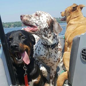 Profile Picture of damiensie (@damiensie) on Tiktok