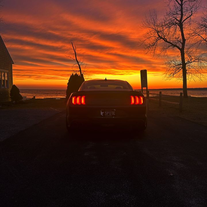 Profile Picture of David Platt (@@david.platt30) on Tiktok