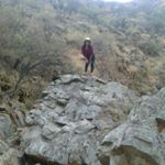 Lily Ocampo Flores - Instagram Profile Picture of Lily Ocampo Flores (@lilyocampoflores) on Instagram