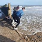 Profile Picture of   Fran Live on TikTok (@lesbean1012) on Tiktok