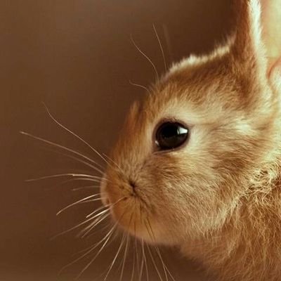 Rakesh Das - Twitter Profile Picture of Rakesh Das (@rakeshdas908371) on Twitter