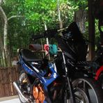 Profile Picture of Wang Jun (@Wang-Jun) on Facebook