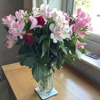 Profile Picture of Alex Kirkland (@alex-kirkland-30) on Quora