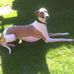 Profile Picture of Gary Bolton (@gary.bolton.79656) on Facebook