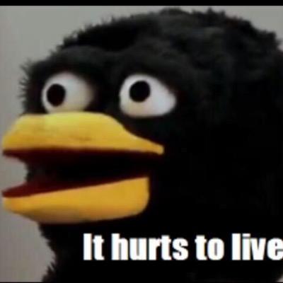 Profile Picture of Dont Hug Me (@InsanitysAlice) on Twitter