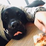 Profile Picture of Mario Giannini (@mario.giannini.7) on Instagram