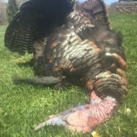 Profile Picture of Jason Marra (@jason-marra-3) on Quora