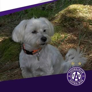 Profile Picture of Peter    Burian (@burian.peter) on Instagram