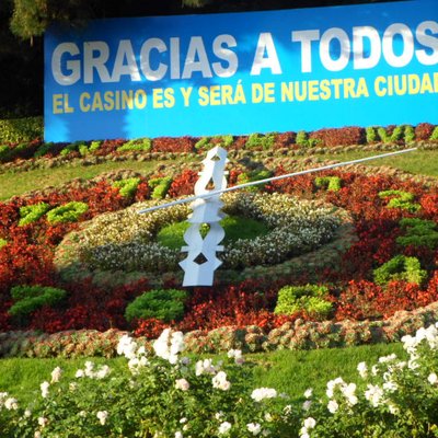 Profile Picture of Andy Coney (@AndyAlbo79) on Twitter