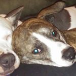 Profile Picture of Matt Gates (@matt.gates.75470) on Instagram