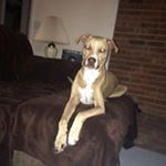 Profile Picture of Richard Baumgardner (@richbaum71) on Instagram