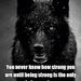 Profile Picture of Sidney Hooks (@sidneyhooks) on Pinterest
