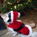 Profile Picture of Alexandra Reinhardt (@alexandrareinhardt1) on Instagram