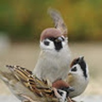 Profile Picture of Bianca Fong (@bianca-fong-2) on Quora