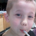 Zachary Friedman - Instagram Profile Picture of Zachary Friedman (@zachary_freedom) on Instagram