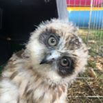 Profile Picture of Marc Cope (@marc.cope) on Instagram