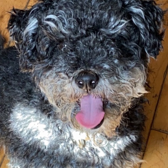 Nani Nani - Poshmark Profile Picture of Nani Nani (@alannistacuri) on Poshmark