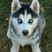 Profile Picture of Fernando Ovando Álvarez (@fernando270492) on Pinterest