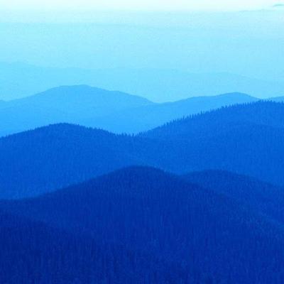 Profile Picture of Jeffrey Dickson (@JeffDick1000) on Twitter