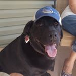 Profile Picture of Stan Carroll (@stan.carroll.94) on Instagram